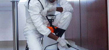 Pest Control Services